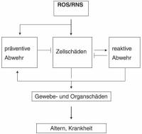 Abbildung 2: Oxidative Stressoren