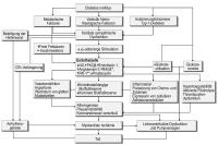 Abbildung 1: Kardiale Dysfunktion - Diabetes mellitus