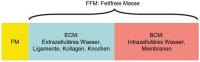 Abbildung 1: Körper - fettfreie Masse