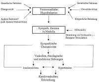 Abbildung 1: Metabolisches Syndrom - sympathische Überaktivität