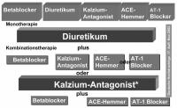 Abbildung 5: Hypertonie - Therapie