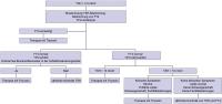 Abbildung 2: Hypothyreose - Therapie