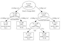 Abbildung 1: Hüftfrakturen - Tree Structured Survival Analysis