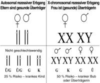 Abbildung 1: Erbgänge