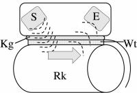 Abbildung 2: Densitometrie - Quantitativer Ultraschall