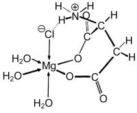 Abbildung 1: Magnesium-L-Aspartat-Hydrochlorid