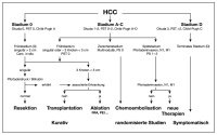 Abbildung 2: HCC - Therapiekonzept