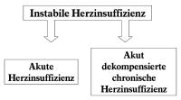 Abbildung 1: Herzinsuffizienz