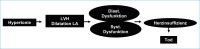 Abbildung 3: Arterielle Hypertonie - Herzinsuffizienz