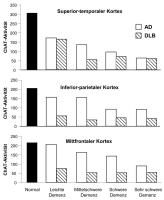 Abbildung 1: Cholin-Acetyl-Transferase-Aktivität - Kortex