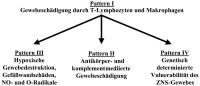 Abbildung 2: Multiple Sklerose - Gewebeschädigung