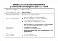 Abbildung 3: Hormonbefund - Interpretation