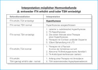 Abbildung 2: Befund - Interpretation