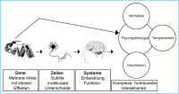 Abbildung 1: Imaging Genetics