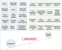Abbildung 4: Gewichtsreduktion