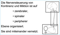 Abbildung 1: 3-Etagenmodell