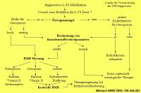 Abbildung 12: Schilddr�se