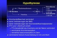 Abbildung 13: Schilddr�se