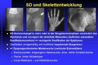 Abbildung 14: Schilddr�se