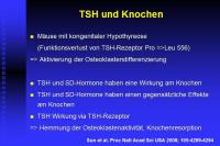 Abbildung 15: Schilddr�se