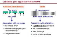 Abbildung 7: GWAS