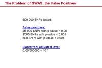 Abbildung 8: GWAS