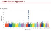 Abbildung 22: GWAS