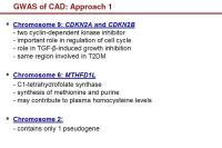 Abbildung 24: GWAS