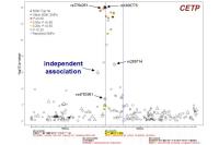 Abbildung 38: GWAS