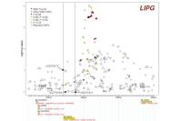 Abbildung 39: GWAS