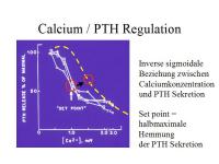 Abbildung 5: Hyperparathyreoidismus 