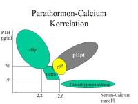 Abbildung 6: Hyperparathyreoidismus 