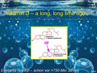 Abbildung 3: Vitamin D