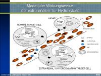 Abbildung 11: Vitamin D