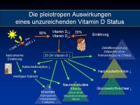 Abbildung 12: Vitamin D