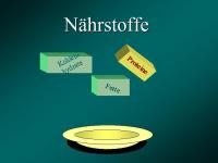 Abbildung 5: Ern�hrung - Knochen