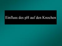 Abbildung 22: Ern�hrung - Knochen