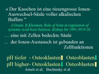 Abbildung 23: Ern�hrung - Knochen
