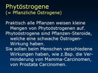 Abbildung 45: Ern�hrung - Knochen
