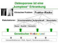 Abbildung 2: Lipoproteinrezeptor