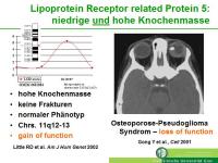 Abbildung 3: Lipoproteinrezeptor