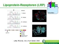 Abbildung 4: Lipoproteinrezeptor