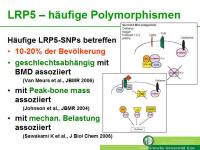 Abbildung 7: Lipoproteinrezeptor