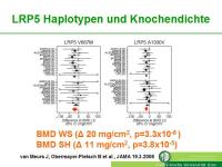 Abbildung 10: Lipoproteinrezeptor