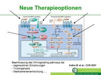 Abbildung 17: Lipoproteinrezeptor