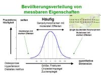 Abbildung 20: Lipoproteinrezeptor