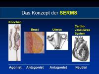 Abbildung 12: Osteoporose