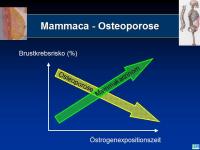 Abbildung 32: Osteoporose