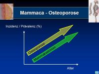 Abbildung 34: Osteoporose