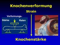 Abbildung 2: Physiotherapie